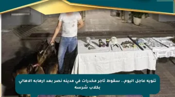 تنويه عاجل اليوم.. سقوط تاجر مخدرات في مدينة نصر بعد إرهابه الأهالي بكلاب شرسة